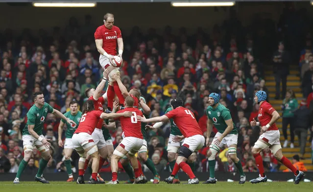 Wales captain Alun Wyn Jones, passes down the ball in a line out during the Six Nations international rugby union match between Wales and Ireland at the Millennium stadium in Cardiff, Wales, Saturday, March 16, 2019. (Photo by Alastair Grant/AP Photo)