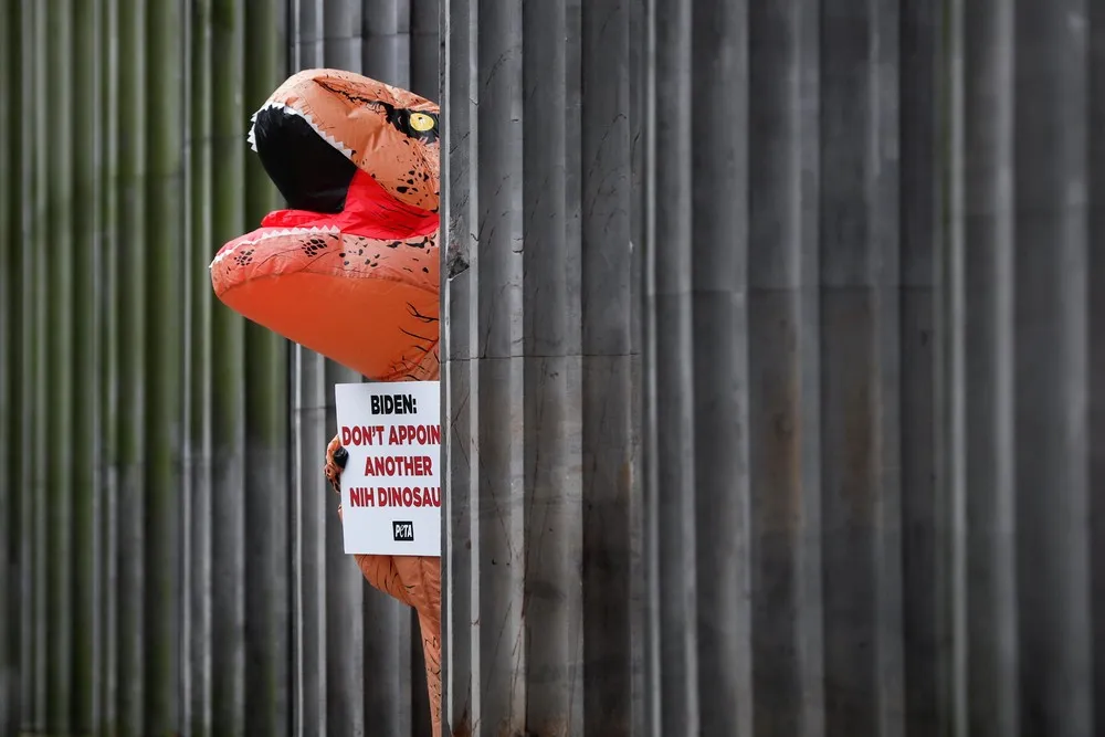 The Day in Photos – November 2, 2021