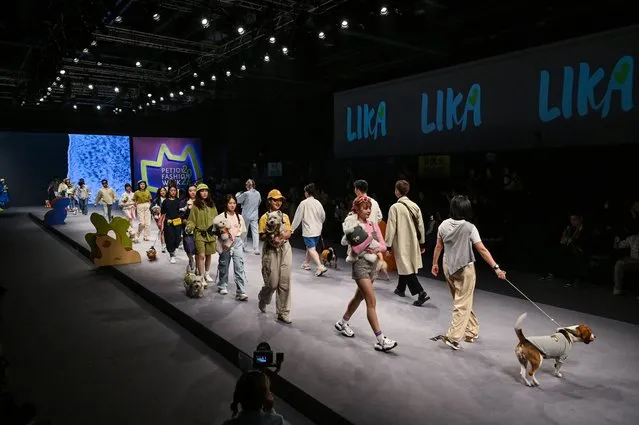Models walk pets down the catwalk during the Pet joy Fashion week 2024 at the Yangpu district in Shanghai on March 25, 2024. (Photo by Hector Retamal/AFP Photo)
