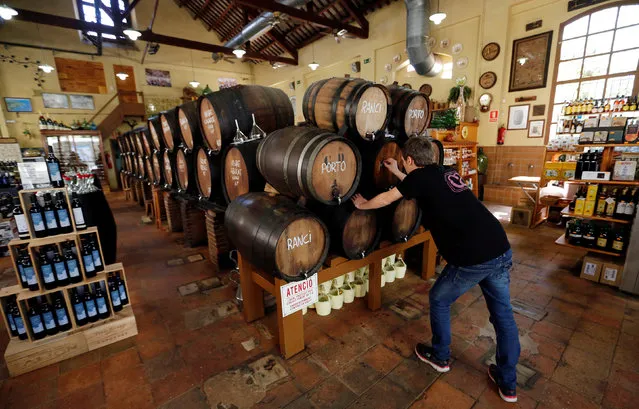 An employee writes the wine variety on a cask in a wine shop in Alella, near Barcelona, Spain, April 13, 2016. (Photo by Albert Gea/Reuters)