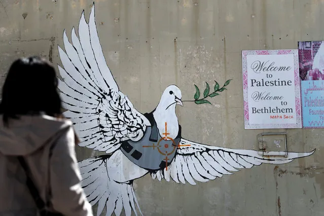 A graffiti by British street artist Banksy showing a dove with a bulletproof vest is seen in the Israeli occupied West Bank town of Bethlehem on March 15, 2017. (Photo by Thomas Coex/AFP Photo)