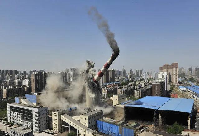 A 150-meter-high chimney, part of a heating factory, collapses as it is demolished by explosives in Shenyang, Liaoning province, China April 28, 2014. (Photo by Reuters/Stringer)