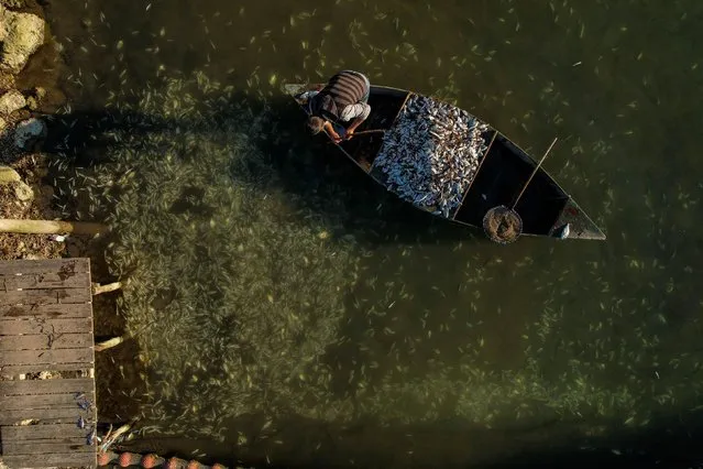 Fish farm cultivator Ioannis Ouzounoglou collects fish that died from low temperatures, at his fish farm in Richo lagoon, in Igoumenitsa, Greece, January 26, 2022. (Photo by Giannis Floulis/Reuters)