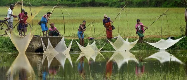 Indian villagers catch fish in an agricultural field which is inundated by rain waters in Goalpara district of Assam state, India, 15 May 2016. Continuous pre-monsoon rain has submerged large scale of low lying areas, including agricultural land in many parts of Assam state during past couple of days. (Photo by EPA/Stringer)