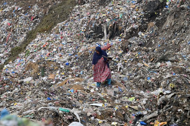 A ragpicker looks for plastic recyclable items at a dumping ground in Lahore on September 6, 2024. (Photo by Arif Ali/AFP Photo)