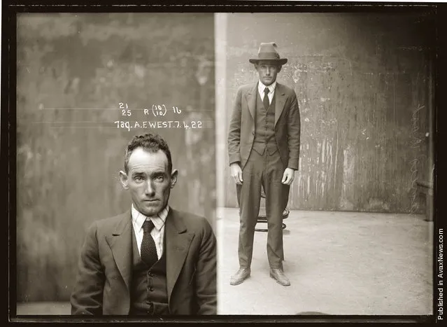 Mug shot of Alfred John (or Francis) West, 7 April 1922, Central Police Station, Sydney