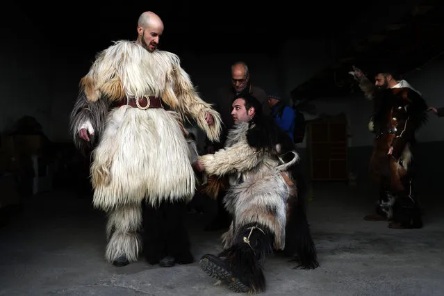 In this photo taken on Monday, January 20, 2020, men prepare themselves before taking part at “Las Carantonas” festival in Acehuche, Spain. The Carantonas involves men pulling on animal hides that make them look like Chewbacca. At the Carantoñas festival in Acehuche, men are helped to pull on hairy, bulky costumes and scary masks before they walk down streets of whitewashed houses looking like wild beasts (“carantoñas”). Women parade in colorful embroidered shawls and skirts as music plays. (Photo by Manu Fernandez/AP Photo)