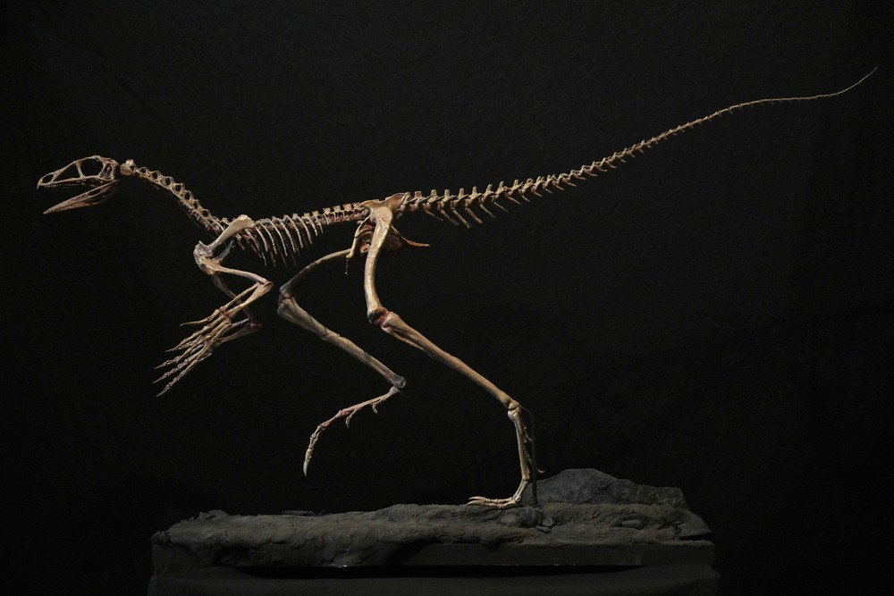 Pictures of the Year 2023, Part 154/224