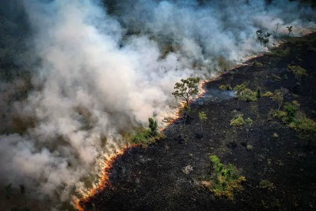 Aerial view of a burnt area in the Amazon rainforest, near the Lago do Cunia Extractive Reserve, on the border of the states of Rondonia and Amazonas, northern Brazil, on August 31, 2022. Experts say Amazon fires are caused mainly by illegal farmers, ranchers and speculators clearing land and torching the trees. (Photo by Douglas Magno/AFP Photo)