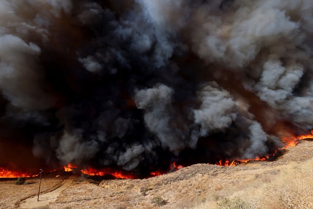 A huge cloud of smoke rises as firefighters battle the Hughes Fire near Castaic Lake, north of Santa Clarita, California, on January 22, 2025. (Photo by David Swanson/Reuters)