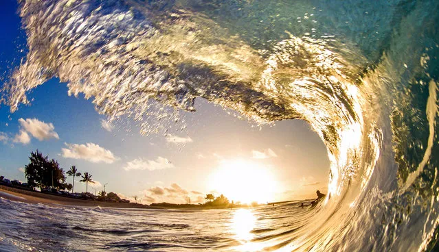Sandys wave. (Photo by Kenji Croman/Caters News)