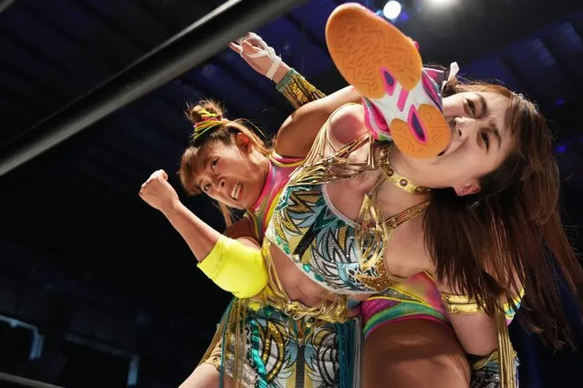 FUWACHAN and Saya Kamitani compete during the Women's Pro-Wrestling “Stardom” at Arena Tachikawa Tachihi on October 23, 2022 in Tachikawa, Tokyo, Japan. (Photo by Etsuo Hara/Getty Images)