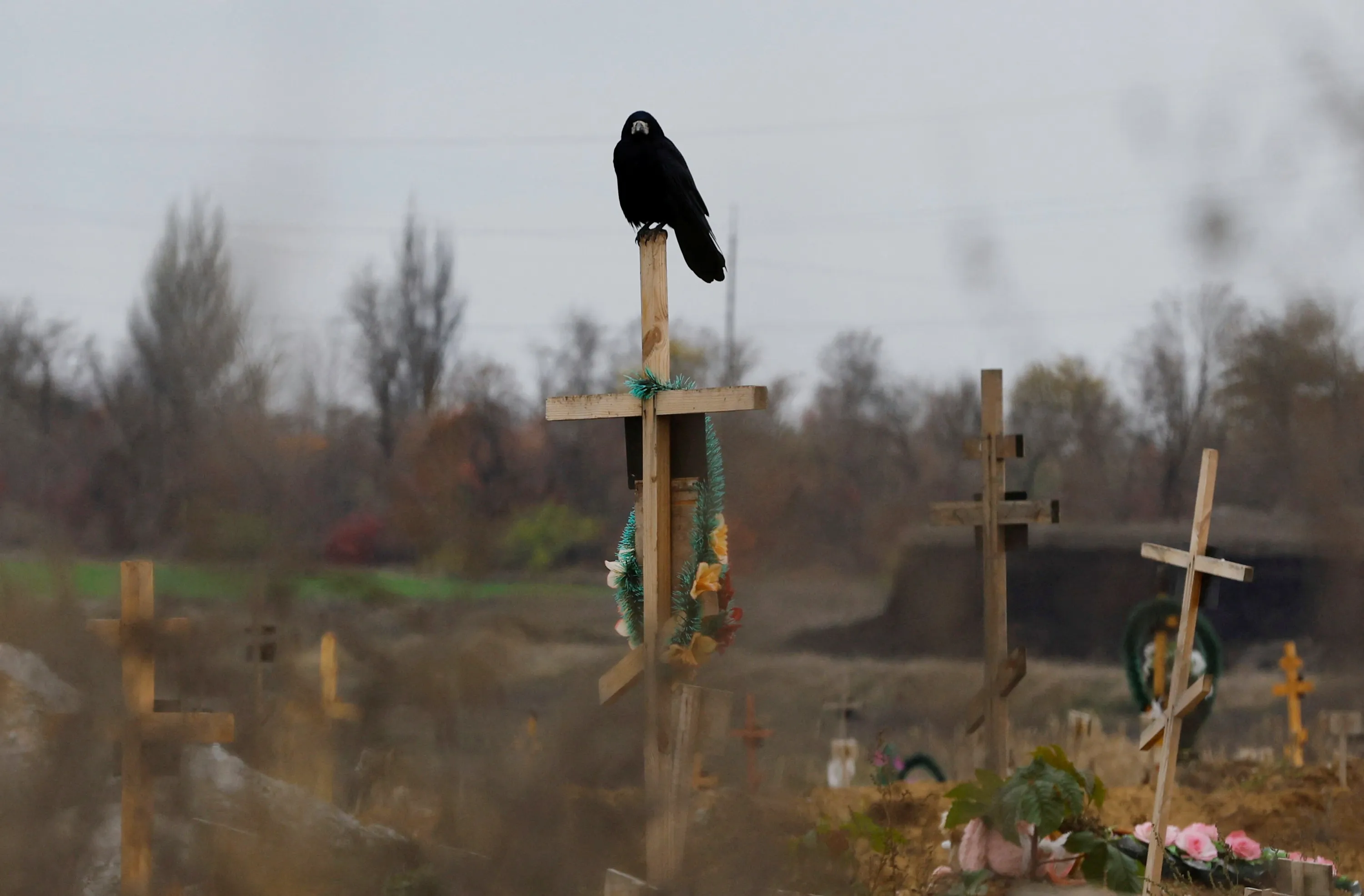 Пора похоронить. Украинские кладбища. Птицы на кладбище. Старокрымском кладбище. Кладбище 2022.