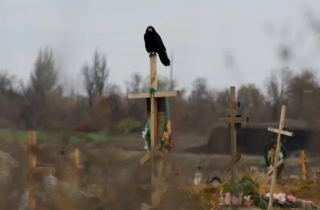 A bird sits on a cross at a cemetery, in the course of Russia-Ukraine conflict in the settlement of Staryi Krym outside Mariupol, Russian-controlled Ukraine on November 9, 2022. (Photo by Alexander Ermochenko/Reuters)