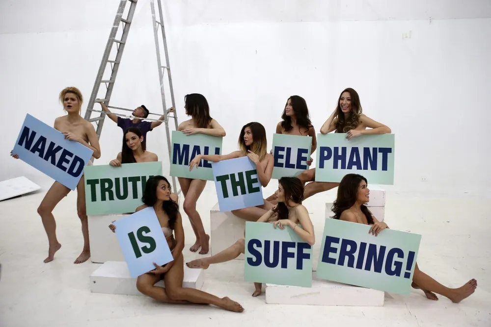 Pictures Of Recent Events 02.01 – 02.16 2013 (91 Photos)