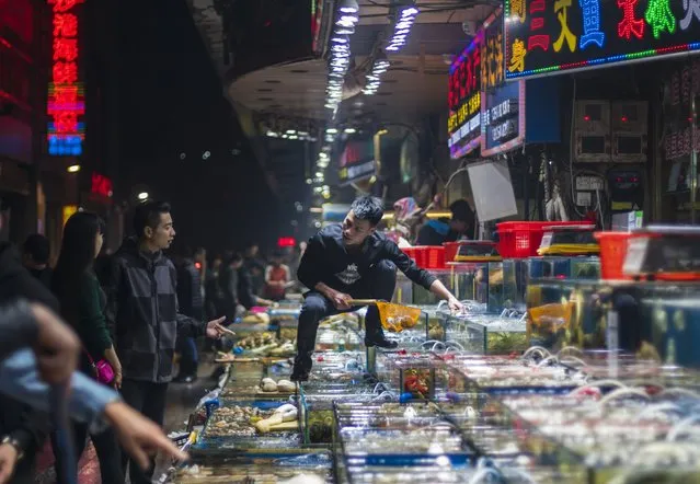 A man collects seafood from tanks for buyers on Huangsha Seafood Market in Guangzhou, Guandong Province, China, 16 January 2018. (Photo by Aleksandar Plavevski/EPA/EFE)