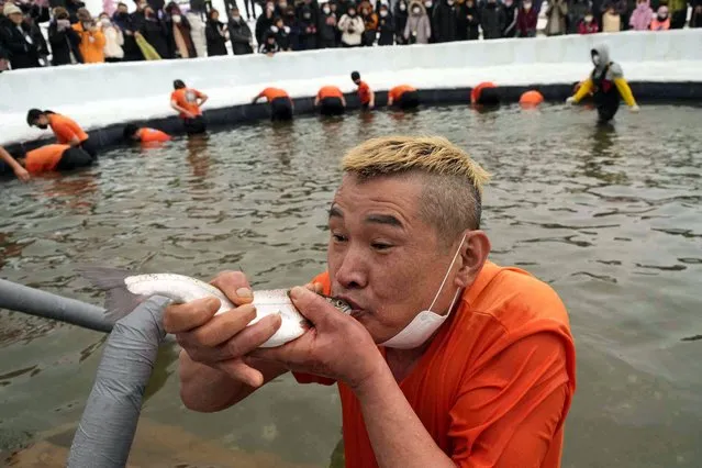 A participant kisses a trout after catching it with his bare hands during a trout catching contest at a pool in Hwacheon, South Korea, Saturday, January 7, 2023. The contest is part of an annual ice festival which draws over one million visitors every year. (Photo by Ahn Young-joon/AP Photo)