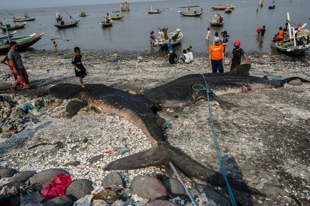 The Day in Photos – October 27, 2015