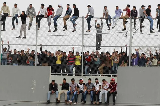 Jordan's fans sit on top of a fence as they watch Jordan play against Japan during their 2014 World Cup qualifying soccer match at King Abdullah stadium in Amman March 26, 2013. (Photo by Muhammad Hamed/Reuters)