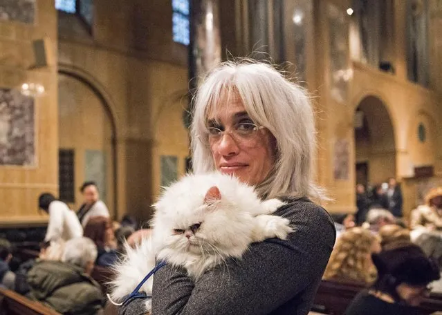 A owner poses with her pet cat during the “Blessing of the Animals” at the Christ Church United Methodist in Manhattan, New York December 7, 2014. (Photo by Elizabeth Shafiroff/Reuters)