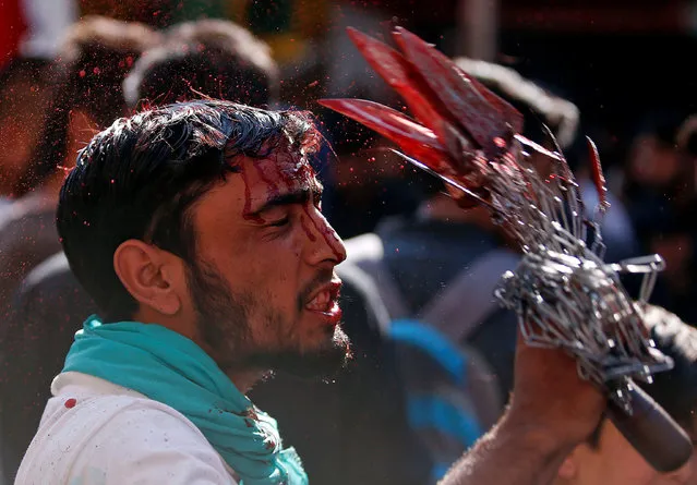 A Kashmiri Shi'ite Muslim mourner flagellates himself during a Muharram procession to mark Ashura in Srinagar, India October 12, 2016. (Photo by Danish Ismail/Reuters)