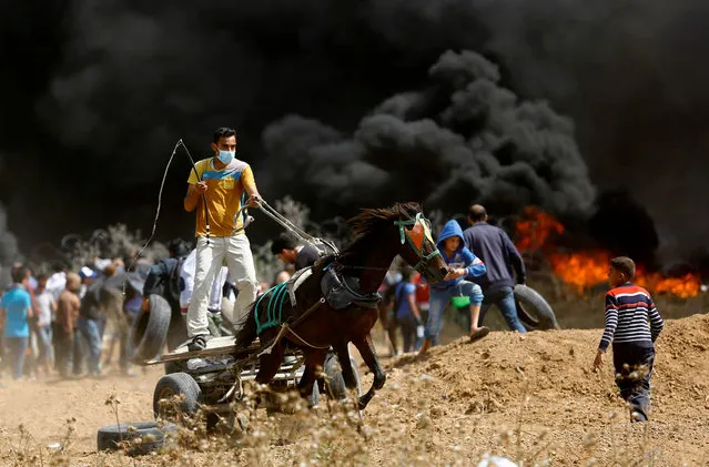 A Palestinian drives a horse- drawn cart during clashes with Israeli security forces near the eastern border of the Gaza Strip, east of the northern town of Jabalia, on April 27, 2018, on the fifth straight Friday of mass demonstrations and clashes along the Gaza- Israel border. (Photo by Mohammed Abed/AFP Photo)