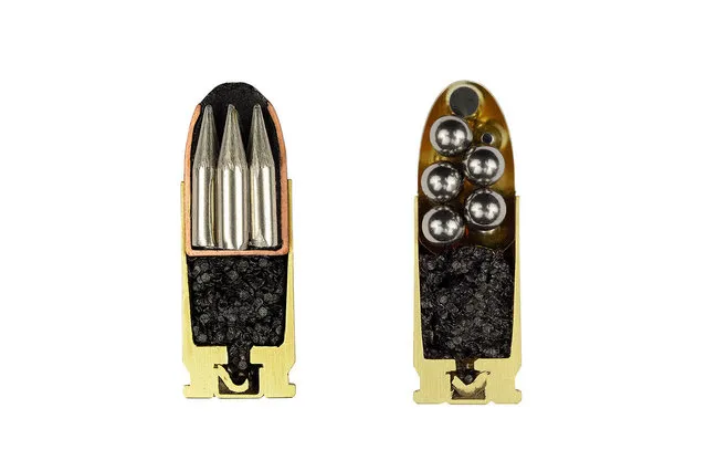 Cross Sections Of Bullets By Sabine Pearlman