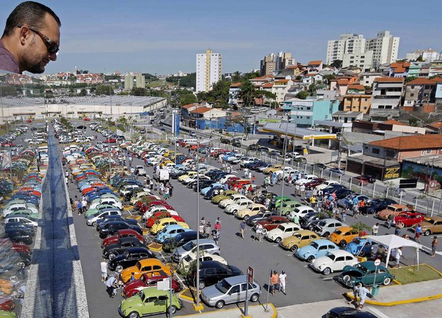 A visitor looks down from a terrace at a Volkswagen Beetle owners' meeting in Sao Bernardo do Campo January 25, 2015. Around 1000 Volkswagen Beetle cars took part in this event as part of celebrations marking Brazil's annual National Volkswagen Beetle day, which falls on January 20. (Photo by Paulo Whitaker/Reuters)