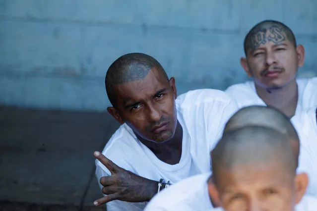 Mara Salvatrucha (MS-13) gang members wait to be escorted upon their arrival at the maximum security jail in Zacatecoluca, El Salvador, November 16, 2016. (Photo by Jose Cabezas/Reuters)