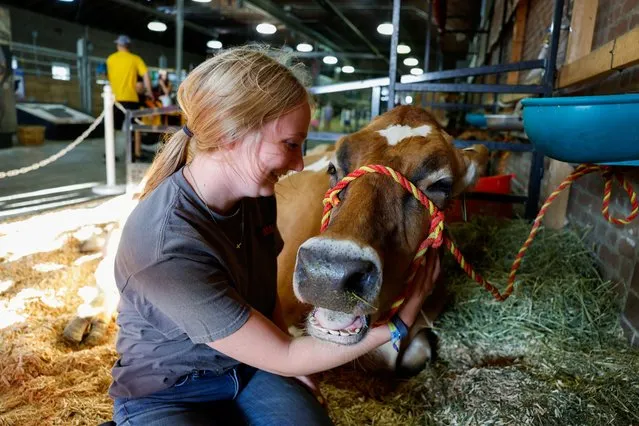 Abigail Rogers, 21, sits with Corn, a Jersey cow, at the “I Milked a Cow” booth in the cattle barn in the Iowa State Fair in Des Moines, Iowa, U.S. August 10, 2023. (Photo by Evelyn Hockstein/Reuters)