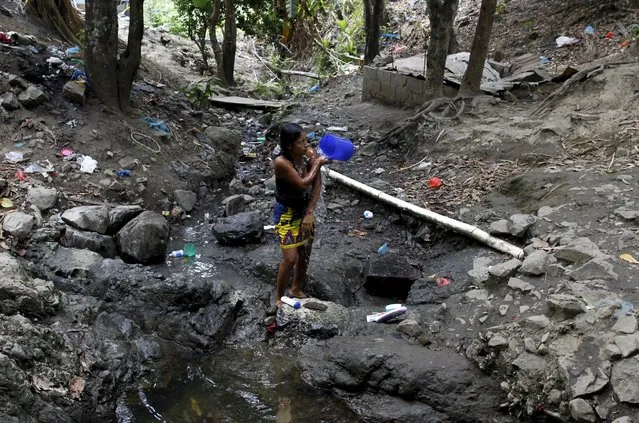 A woman washes in a stream due to a water shortage in Panama City March 20, 2015. (Photo by Carlos Jasso/Reuters)