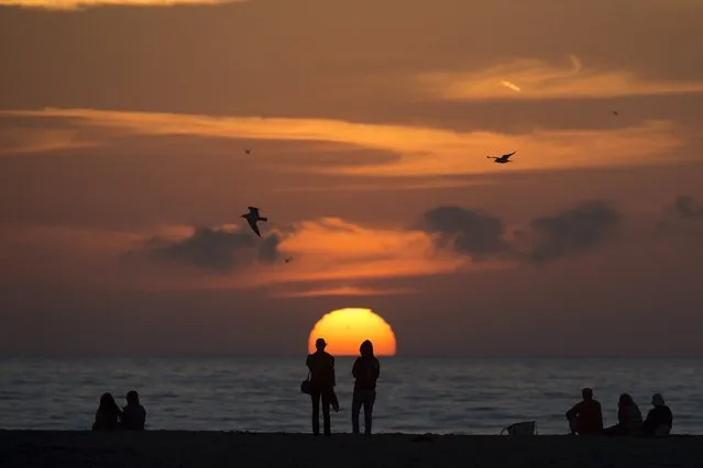 People sit on the beach and watch the sun set as seagulls fly over head in Santa Monica, California February 27, 2016. (Photo by Carlo Allegri/Reuters)