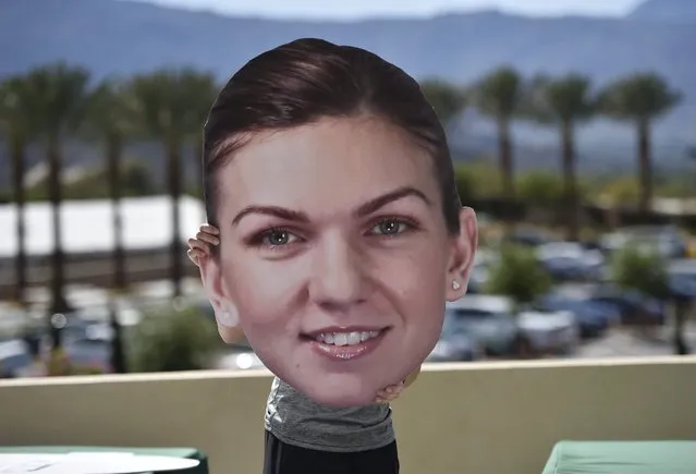 Simona Halep of Romania holds up a Fathead of herself during the women's media roundtable at the BNP Paribas Open in Indian Wells, California, USA, 09 March 2016. (Photo by John G. Mabanglo/EPA)