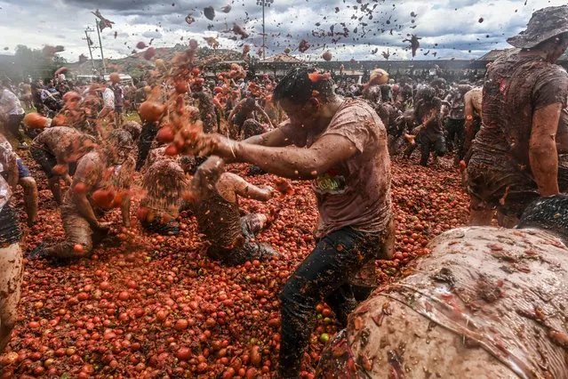 People participate in the tenth annual Tomato Fight Festival, known as “Tomatina”, in Sutamarchan, Boyaca Department, Colombia, on June 11, 2023. This year's festival is the first held since the lifting of the COVID-19 coronavirus pandemic restrictions. (Photo by Juan Barreto/AFP Photo)