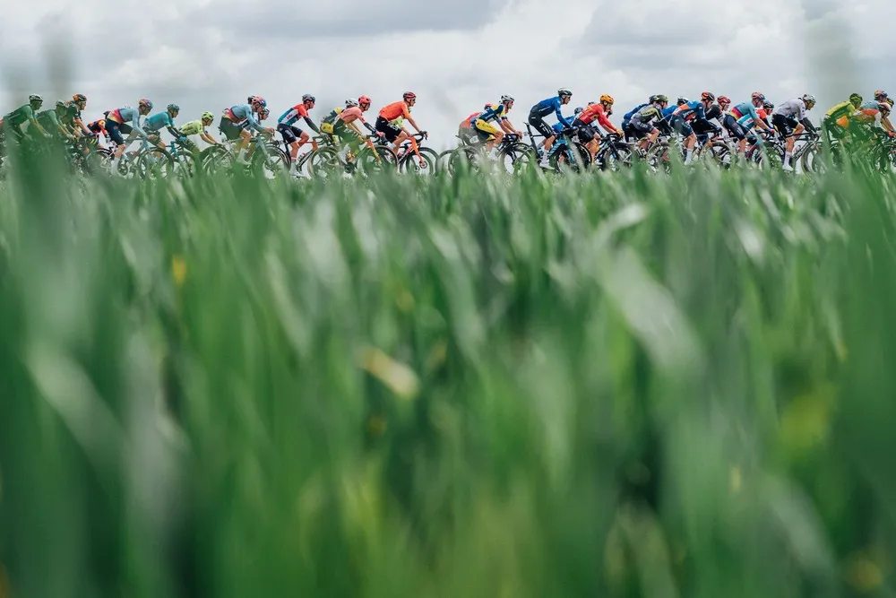 Sport last Week, Part 1/4