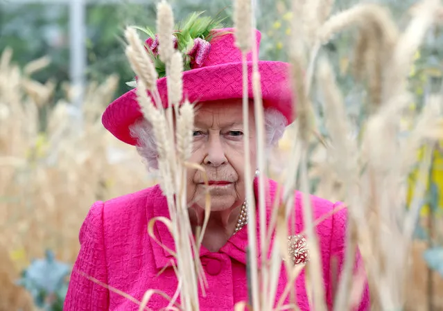Queen Elizabeth II during a visit to the NIAB, (National Institute of Agricultural Botany) on July 09, 2019 in Cambridge, England. (Photo by Chris Jackson/Getty Images)