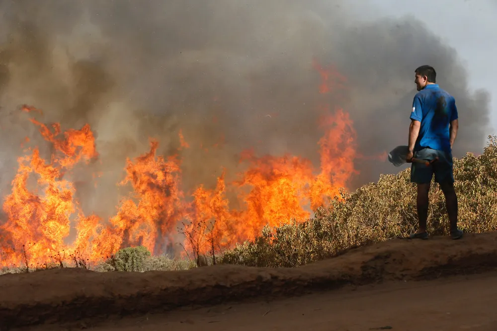 Chile's Devastating Wildfires