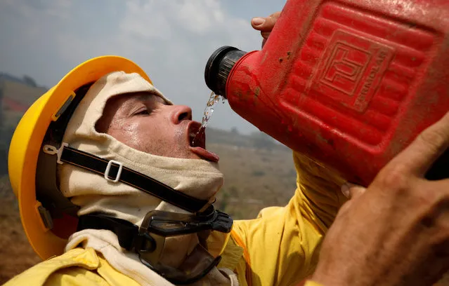 A Brazilian Institute for the Environment and Renewable Natural Resources (IBAMA) fire brigade member drinks water as he attempts to control hot points during a fire in Apui, Amazonas state, Brazil on August 31, 2019. (Photo by Bruno Kelly/Reuters)
