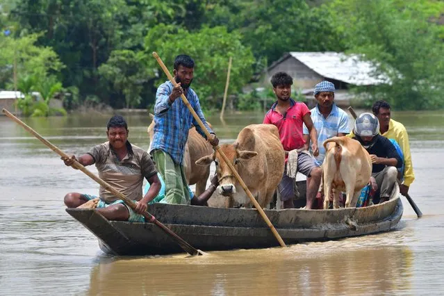 Villagers travel with their cattle on a boat through a flooded area after heavy rains in Nagaon district, Assam state, on May 19, 2022. At least 10 people, including a four-year-old child have died in floods and landslides this week after unusually heavy rains pummelled several parts of India, as forecasters warned on May 18 of more deluges. (Photo by Biju Boro/AFP Photo)