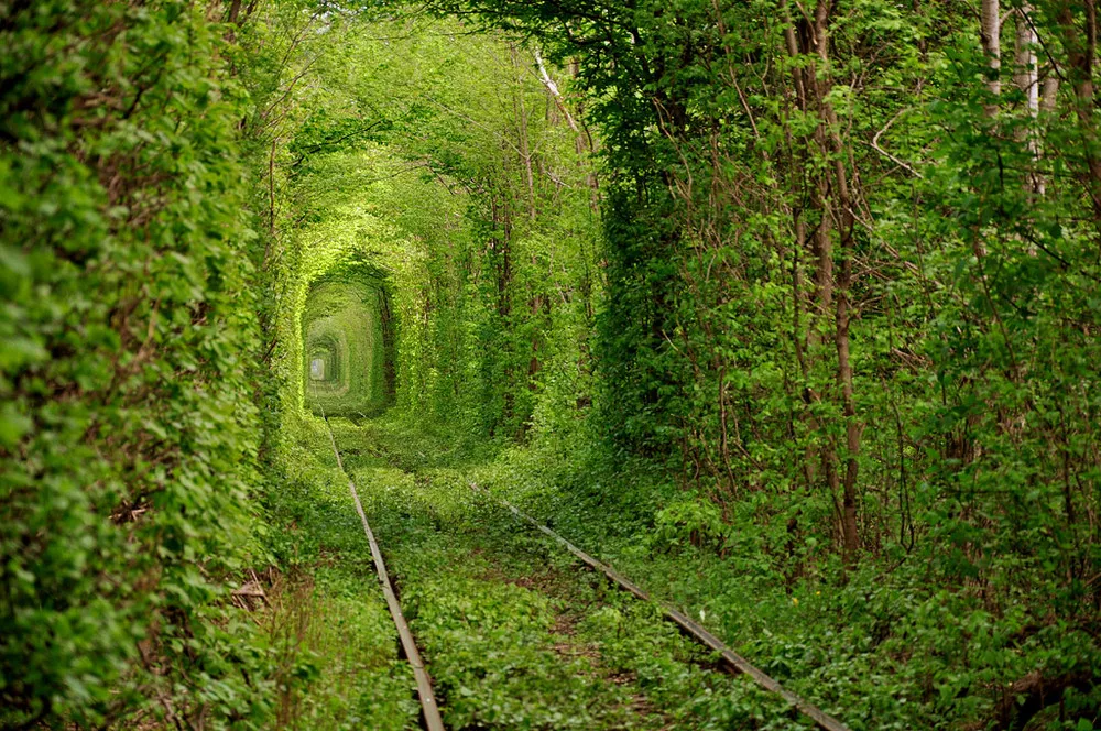 Tunnel of love in Rovno Ukraine