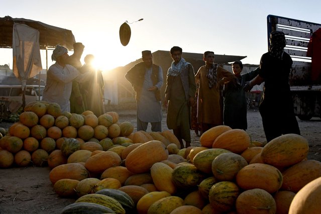 Afghan vendors sell melons at a fruit market in Mazar-i-Sharif on July 24, 2024. (Photo by Atif Aryan/AFP Photo)