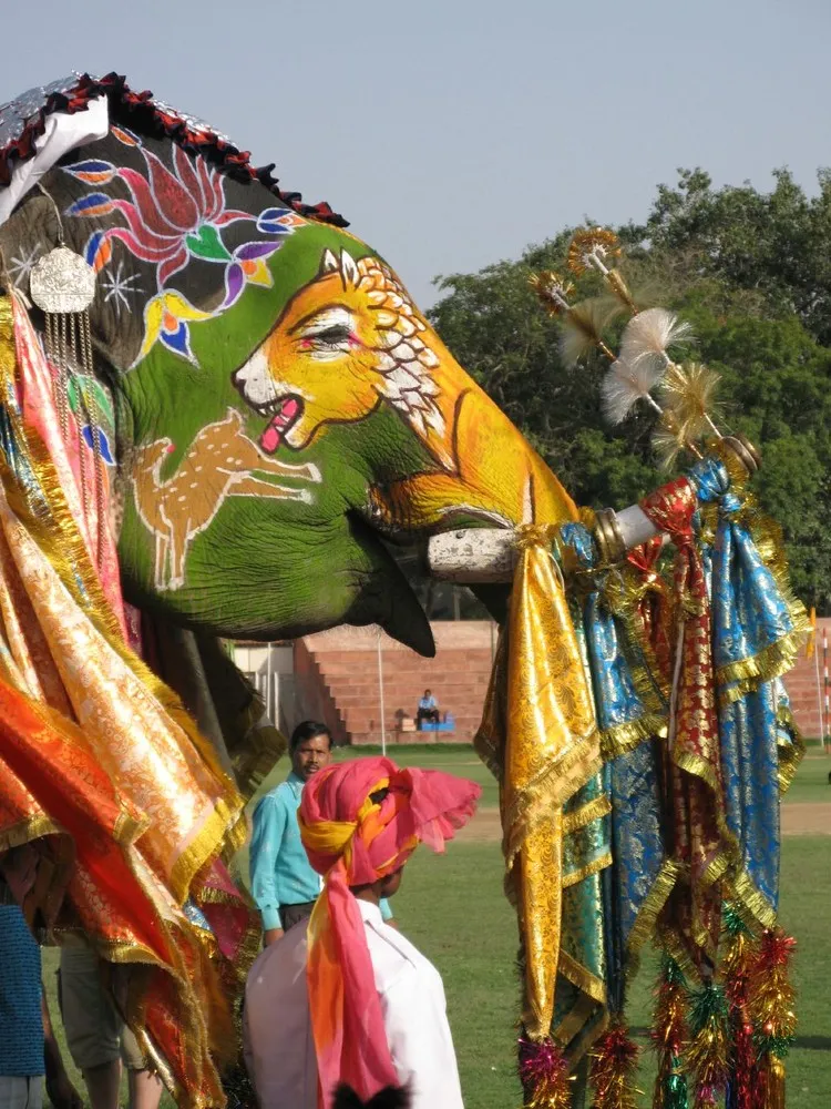 Elephant Festival in Jaipur