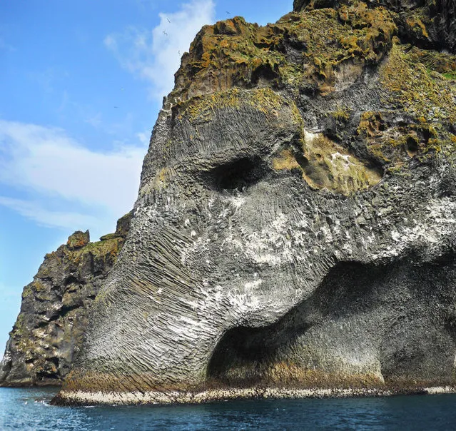 Elephant Rock, Heimaey, Iceland