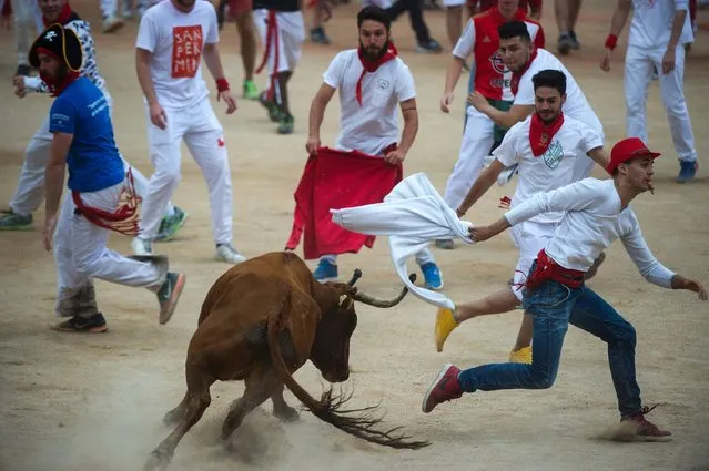A cow try to charge participants at the Pamplona's bullring after the sixth “encierro” (bull-run) of the San Fermin Festival in Pamplona, northern Spain on July 12, 2016. On each day of the festival six bulls are released at 8:00 a.m. (06:00 GMT) to run from their corral through the narrow, cobbled streets of the old town over an 850-meter (yard) course. Ahead of them are the runners, who try to stay close to the bulls without falling over or being gored. (Photo by Miguel Riopa/AFP Photo)