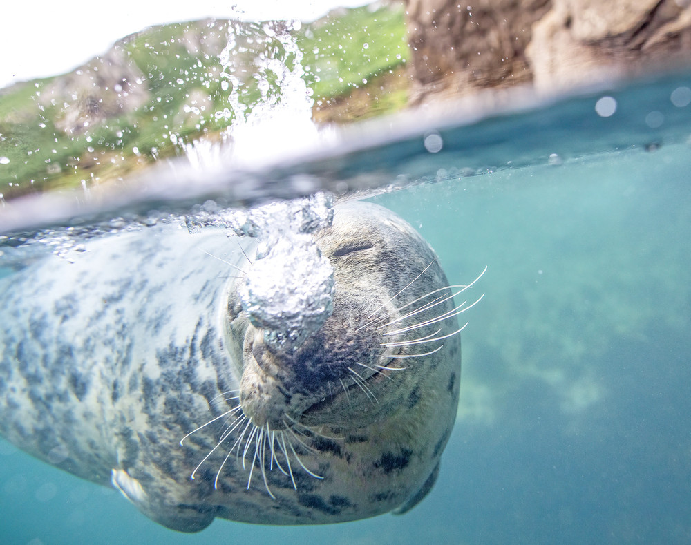 Some Photos: Waterworld