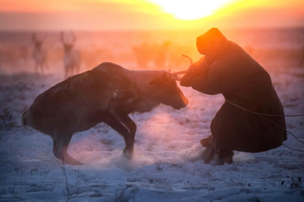 Inside Nomadic Siberian Tribe