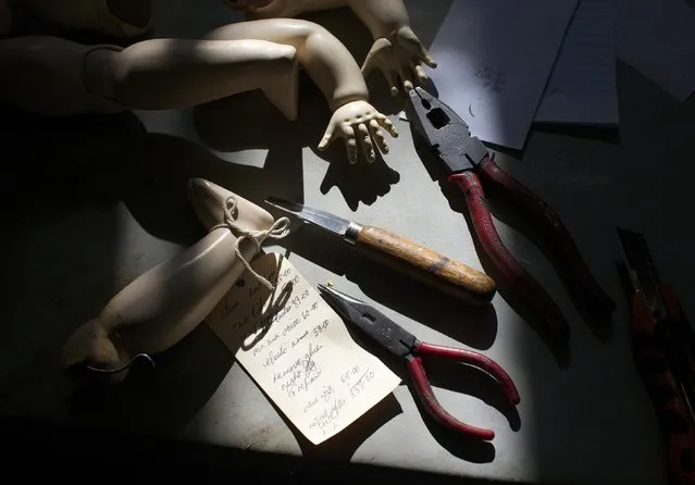 Doll limbs and hand tools are pictured in the afternoon sun on the work bench of Geoff Chapman, 'Head Surgeon' and owner of Sydney's Doll Hospital, June 28, 2014. (Photo by Jason Reed/Reuters)
