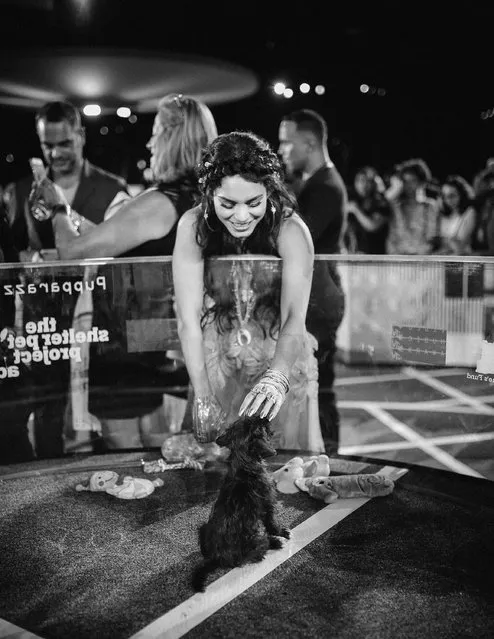 Vanessa Hudgens attends the 2015 MTV Video Music Awards at Microsoft Theater on August 30, 2015 in Los Angeles, California. (Photo by Mike Windle/Getty Images for MTV)