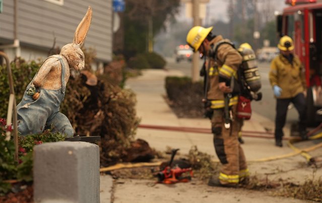 A firefighter looks at charred remains outside the destroyed Bunny Museum, Thursday, January 9, 2025, in the Altadena section of Pasadena, Calif. (Photo by Chris Pizzello/AP Photo)