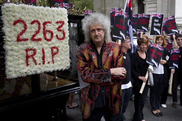 British musician and Queen guitarist Brian May, poses for photographers before leading a demonstration in the form of a mock “funeral parade”, in protest against the culling of 2,263 badgers in 2013/2014, in London on September 8, 2015. (Photo by Justin Tallis/AFP Photo)